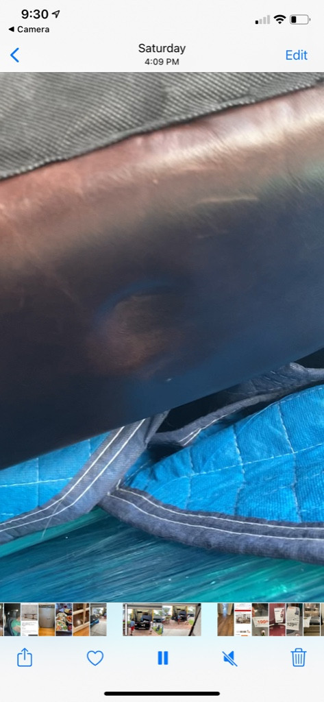 Photo by Christy Starling of Expedient Movers - Large