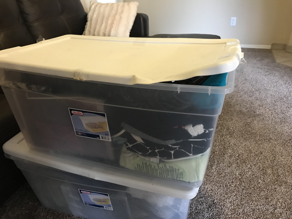 Photo by Jamie of D & J Moving LLC - Large