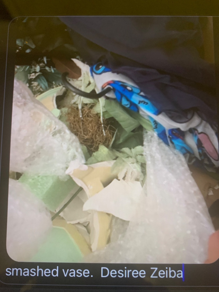 Second photo by Desiree Zeiba of True American Van Lines - Large