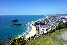 Moving companies in Tauranga